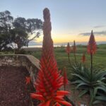 Langrug Lodge Overberg accommodation Vissersdrift